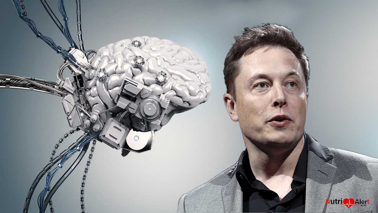 Elon Musk Brain Machine Interface Nutri Health Alert
