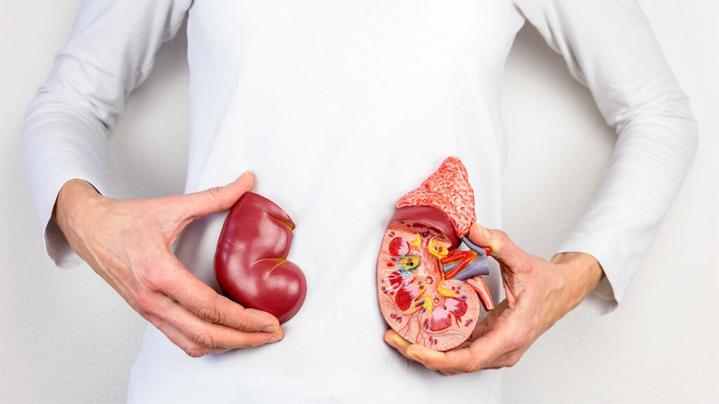 20 Things That Are Actually Damaging Your Kidneys