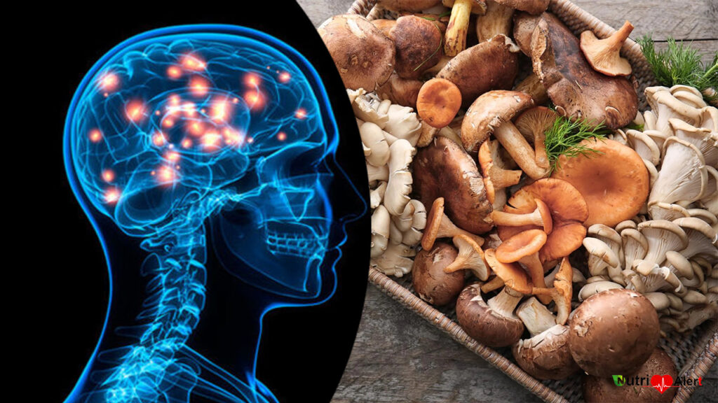 Mushroom can stop Mental Decline