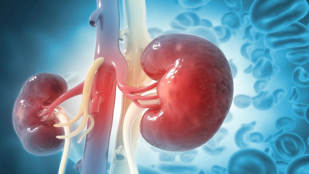 Maintaining Kidney Health